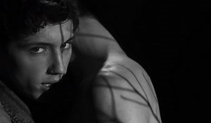 Troye Sivan • Heaven