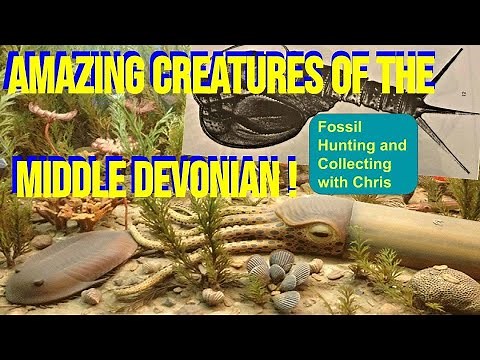 Amazing Creatures of the Middle Devonian ! Fossil Hunting and Fossil Collecting with Chris