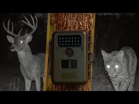 PART 1 DIY Trail Camera set up. #wildlife #nature #hunting #trailcam #bucks #moose #outdoors