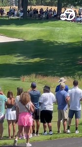 The annual celebrity golf tournament is underway at Lake Tahoe but these were the real stars today -- a bear and two cubs. Video shows the animals walking across the course with all the spectators looking on. https://abc7ne.ws/2Lu50ZT | ABC7 News
