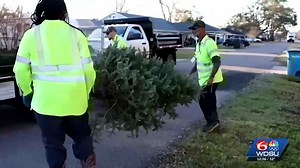Recycle your tree to help with coastal restoration efforts