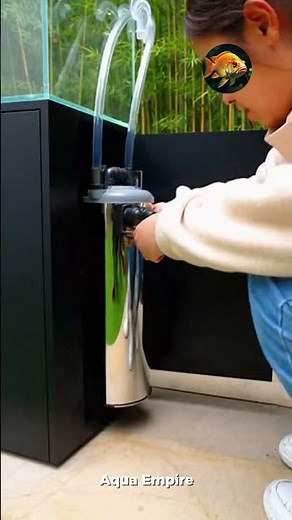 Beautiful Aquarium Aquascape Setup Tutorial 🌿🐟 #aquascape #fishtank #aquariumsetup