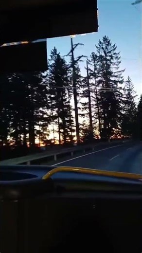 #goldenbrown #outsideview #sun #aesthetic