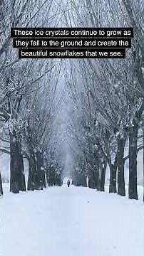 Why Does It Snow? The Science Behind Snow