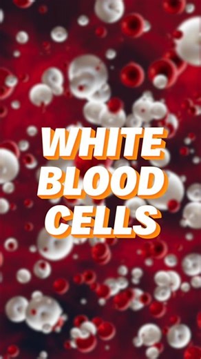 Anurag Sharma | 🌊 Benefits of Cold Water Therapy ❄️ Cold water therapy, also known as cold immersion or ice baths, is more than just a trending wellness... | Instagram