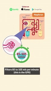Sweet Kidney of Mi-iii-ineee (by yours truly)😮‍💨 To try out SimpleNursing for free, visit: https://bit.ly/4atzF4Z | SimpleNursing