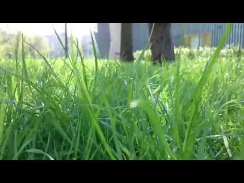 Sony Xperia Z2 camera test - video sample 4K recording