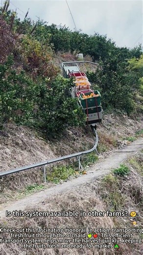 Monorail Transports Fresh Fruit in Orchard 🍎🚂