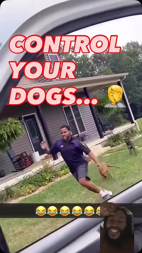 1K reactions · 14 shares | As funny as it is…control your dogs, this ain’t right . Train train train! . Canineconscious.org . #dogsofinstagram #dogs #dogtraining #dog #dogtrainer #doglover | CanineConscious | Facebook