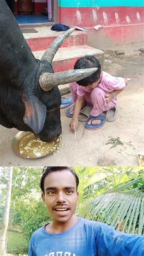 pyara video 😎❤️Sigma rule | inspirational quotes | motivational quotes #shorts #motivation