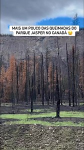 O Parque Nacional Jasper, localizado na província de Alberta, Canadá, é o maior parque nacional das Montanhas Rochosas e um verdadeiro paraíso natural. | Marcando Territórios
