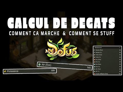 DOFUS CALCUL DE DEGATS - Comment ça marche & comment se stuff efficacement?
