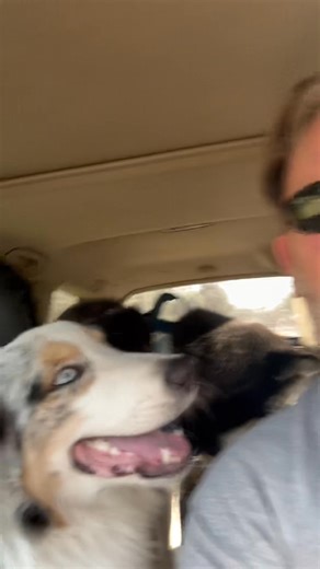 Mike Anderson on Reels