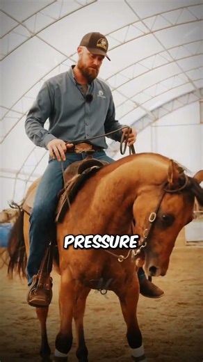 Why Cowboy Spurs Are Actually Genius Engineering