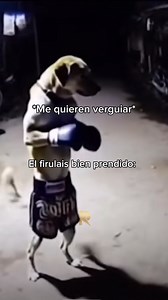 12K views · 299 reactions | R Music Marketing on Reels | Facebook