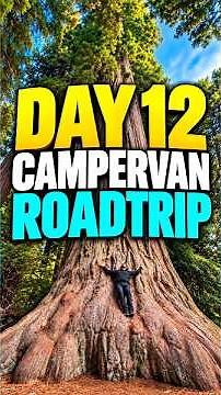 Day 12 of our camper-van road trip through the Redwoods