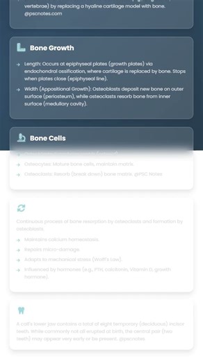 Bone Growth, Development, and Remodeling