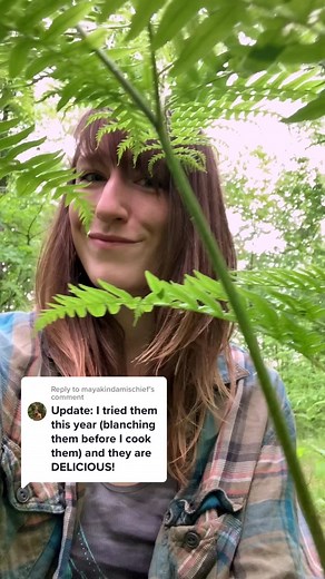 Foraging Bracken Fern Fiddleheads - Expert Tips and Tricks!