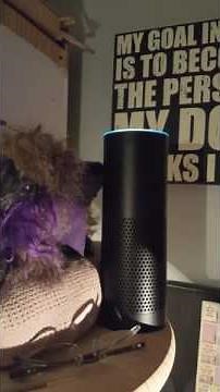 Amazon Alexa knows her Poop facts!