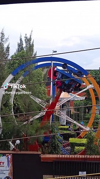 Experience the Thrills of the Disko Ride