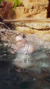 Tempting Luna Part 4 | Chila La