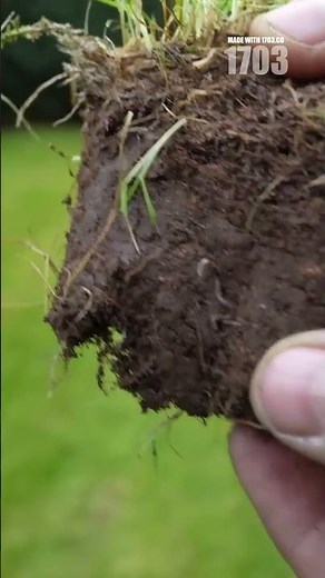 Stop Scalping Your Lawn: Essential Mowing Tips!