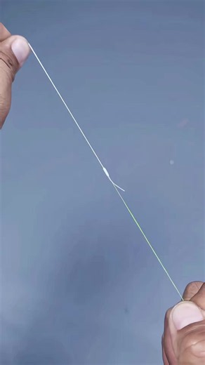 Fishing life tips: Beginner fishing tricks and gear guide