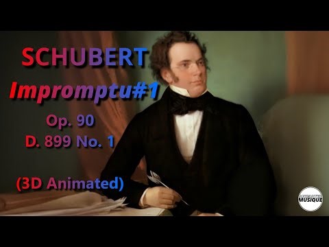 Schubert - Impromptu#1 Op. 90 No. 1(D. 899, 3D Animated)