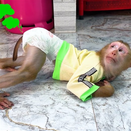 5.3M views · 63K reactions | Monkey Kaka makes a sound asking mom to help her change diaper | Video BiBi | Facebook