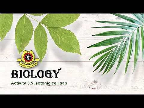 Form 4 (Activity 3.5)