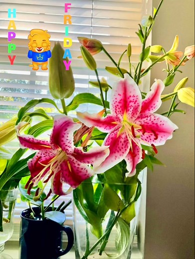 41 reactions · 30 comments | Hello FB workd …Happy Friday #friday # | Stella Sasser | Facebook