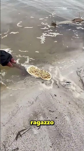 Don't confuse this floating thing with animal poop 😱