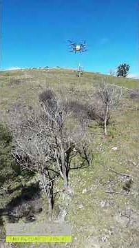 DJI AGRAS T100: Precision Agriculture in the Hills of New South Wales