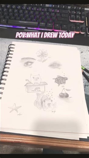 Rate the drawings on a scale of 1-10