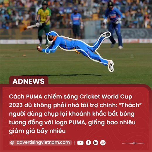 7.9K views · 273 reactions | CÁCH PUMA CHIẾM SÓNG CRICKET WORLD CUP...