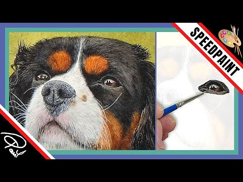 Dog Eye Watercolour Painting Tutorial - How to paint dog or cats eyes