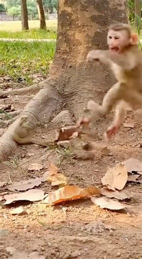 “Snake Suddenly Bites Baby Monkey — Real Forest Moment Caught on Phone” 🐍🐒📱