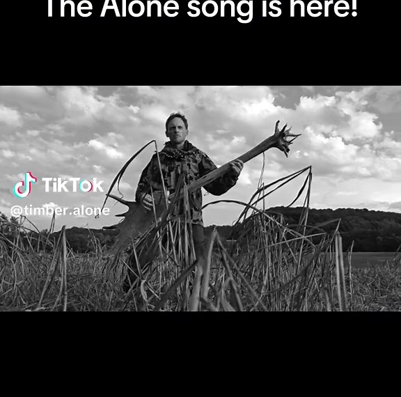 #Alone #Timber #Mooseguitar | Guitar