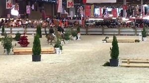 Le poney shetland est à l’honneur sur Le Salon du Cheval de Paris 🐴 Bravo aux jeunes cavaliers et à leur poneys qui ont réalisé de beaux tours sur leur Derby Cross, comme les grands ! | FFE - Fédération Française d'Equitation