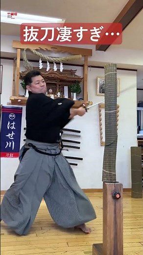 【戸山流居合道“技斬り”】日本の抜刀凄すぎ…short Ver Iai Toyama-ryu battodo shizan