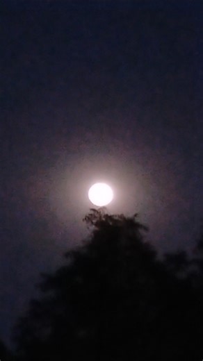 Moon, Venus, & Jupiter: Smartphone View #shorts #shortvideo #short