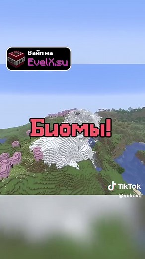Minecraft: Найти любой биом легально