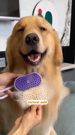 931K views · 262 reactions | Tired of fur all over your sofa, clothes & car? ✨ ✅ Steam + Groom + Detangle – 3-in-1 smart brush for dogs & cats ✅ Reduces shedding by up to 80% – less cleaning, more cuddles ✅ Gentle spa-like mist – keeps your pet’s coat shiny & healthy  Get the Shedding Solution Mist Brush at 30% OFF today! Limited stock  | Tummies & bummies | Facebook