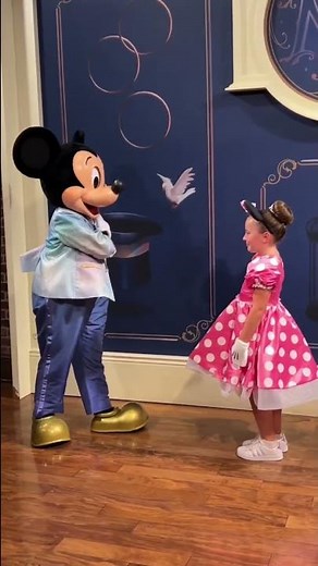 Mickey & Minnie Mouse Meet and greet at Disney World