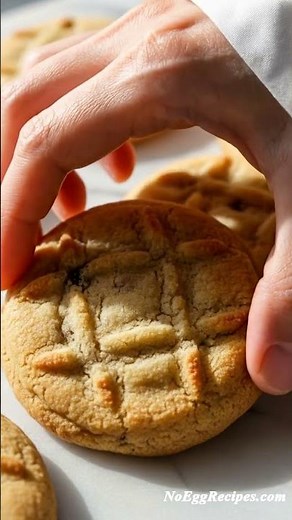 Peanut Butter Cookie Recipe No Eggs Tutorial