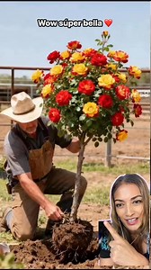 Wow súper lindas | Nubia Tobar