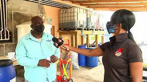 Tobago Manufacturer, Speaks With TV6: Full story on TV6 News. Despite Covid-19, one manufacturer in Tobago, is today continuing to make his dreams become reality. In 2019 TV6 first brought to you the story of Ted Edward Jones and his mini factory in Orange Hill Tobago, specializing in the production of dishwashing liquids and detergents. At that time he was preparing to hit supermarket shelves in Tobago. Today he is now exporting to Trinidad. | CCN TV6: Trinidad and Tobago