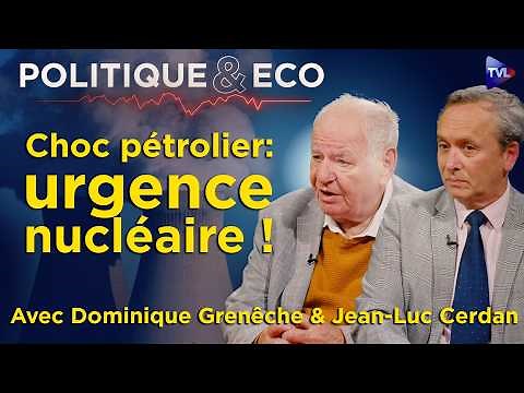 Nuclear power: 8,000 years of energy in France (and ignored) - Grenêche and Cerdan - Politics & E...