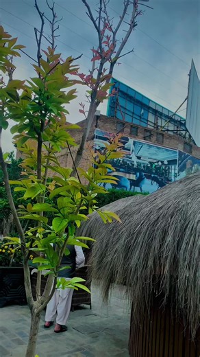 Pushtoons: A Free Fire Pakistan Fan's Delight