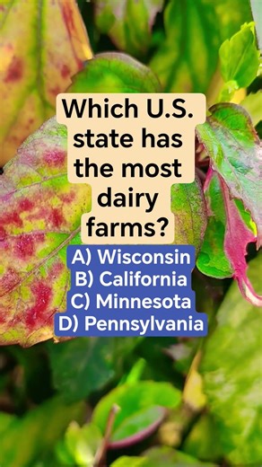 Which U.S. state has the most dairy farms?